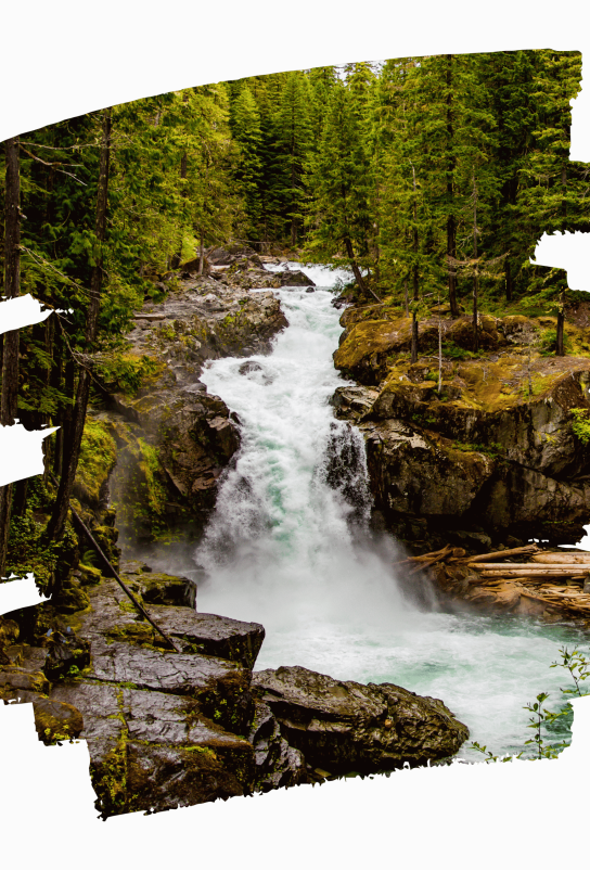 diseño sin título (3)